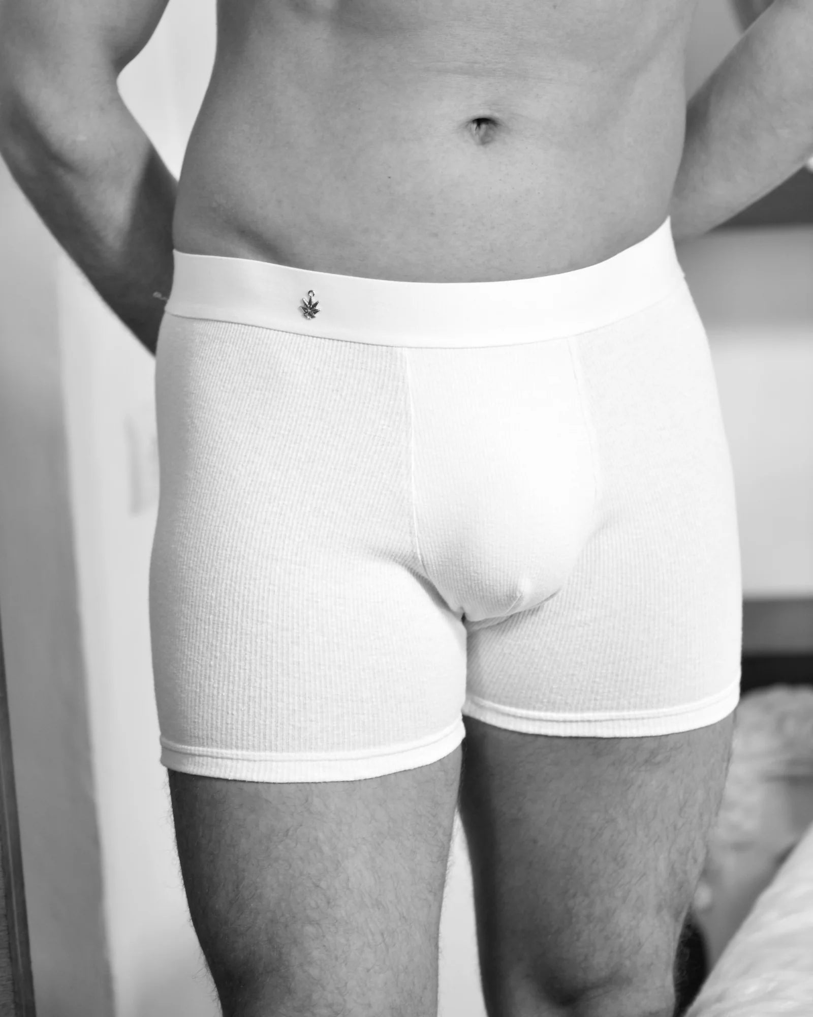 Close view of the men’s hemp-rib Boxer Brief and waistband.