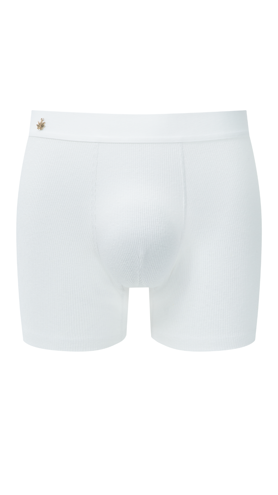 HEMP RIB BOXER BRIEFS