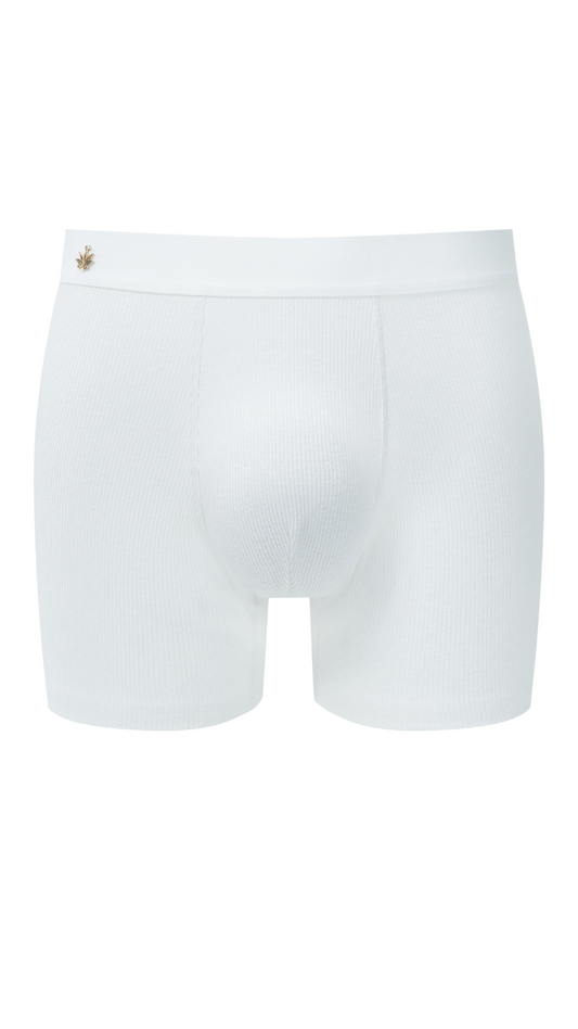 HEMP RIB BOXER BRIEFS
