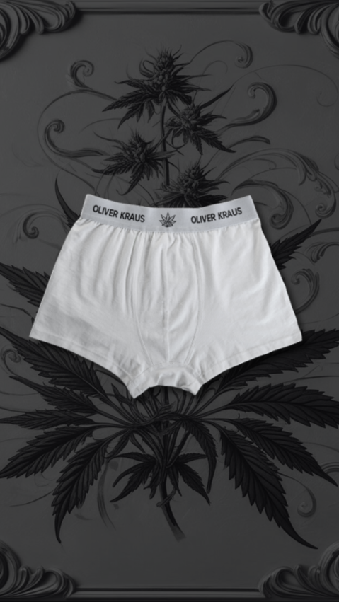 ORGANIC HEMP BOXER BRIEFS