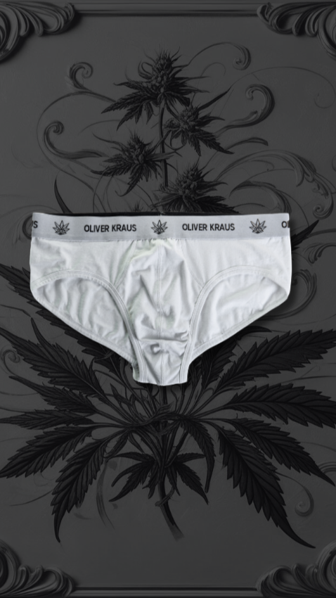 ORGANIC HEMP BRIEFS